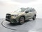 2025 Subaru Ascent Limited Bronze Edition