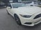 2015 Ford Mustang GT 50 Years Limited Edition