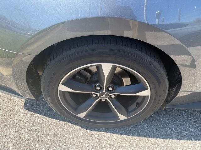 2022 Ford Mustang EcoBoost