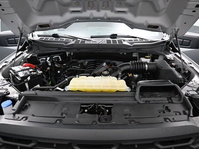 2024 Ford F-150 XL