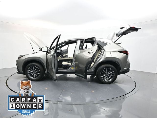 2023 Lexus NX 250 Base