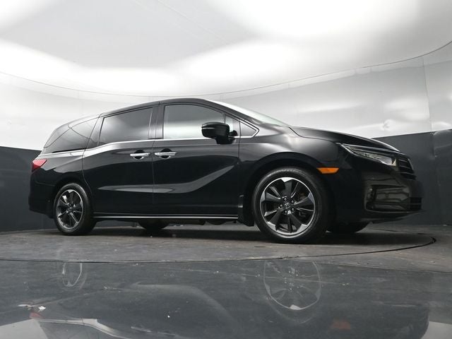 2024 Honda Odyssey Elite
