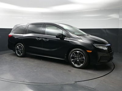 2024 Honda Odyssey Elite