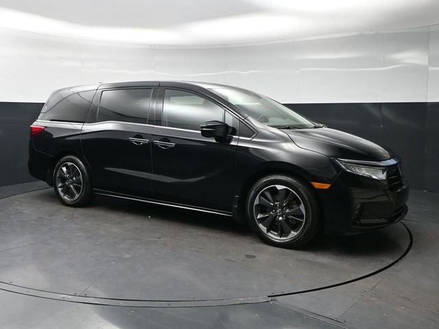 2024 Honda Odyssey Elite