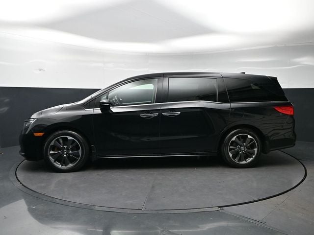 2024 Honda Odyssey Elite