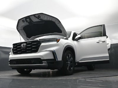 2024 Honda Pilot EX-L 8 Passenger