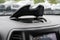 2021 Jeep Cherokee Latitude