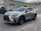 2024 Lexus NX 250 Premium