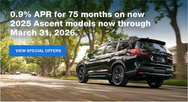 Ascent | Subaru of Spartanburg in Spartanburg SC