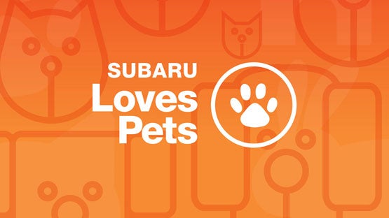 Subaru of Spartanburg in Spartanburg SC