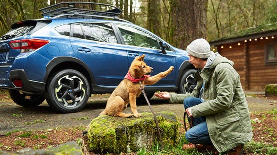 Subaru of Spartanburg in Spartanburg SC