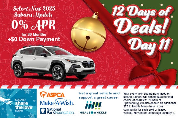 12 Days of Deals – Day 11