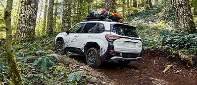 2026 Subaru Forester Photo