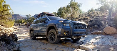 2026 Subaru Outback Photo